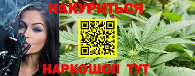 МДПВ Новодвинск