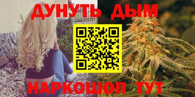 МДПВ Новодвинск