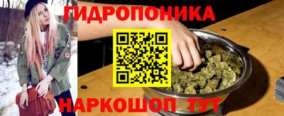 МДПВ Новодвинск